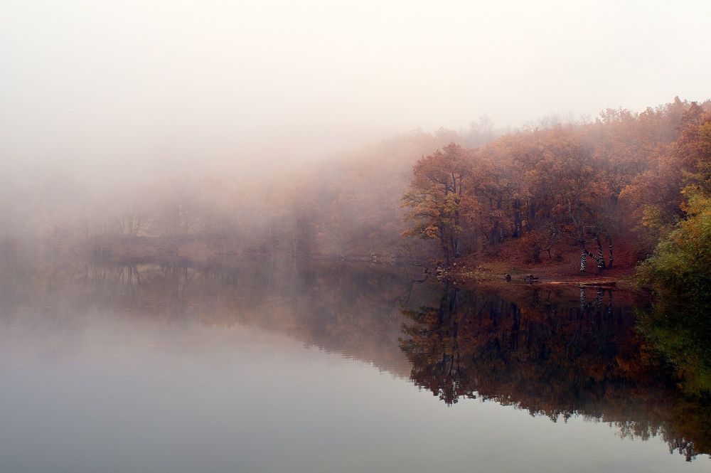 Photograph by Сергей Яблоков