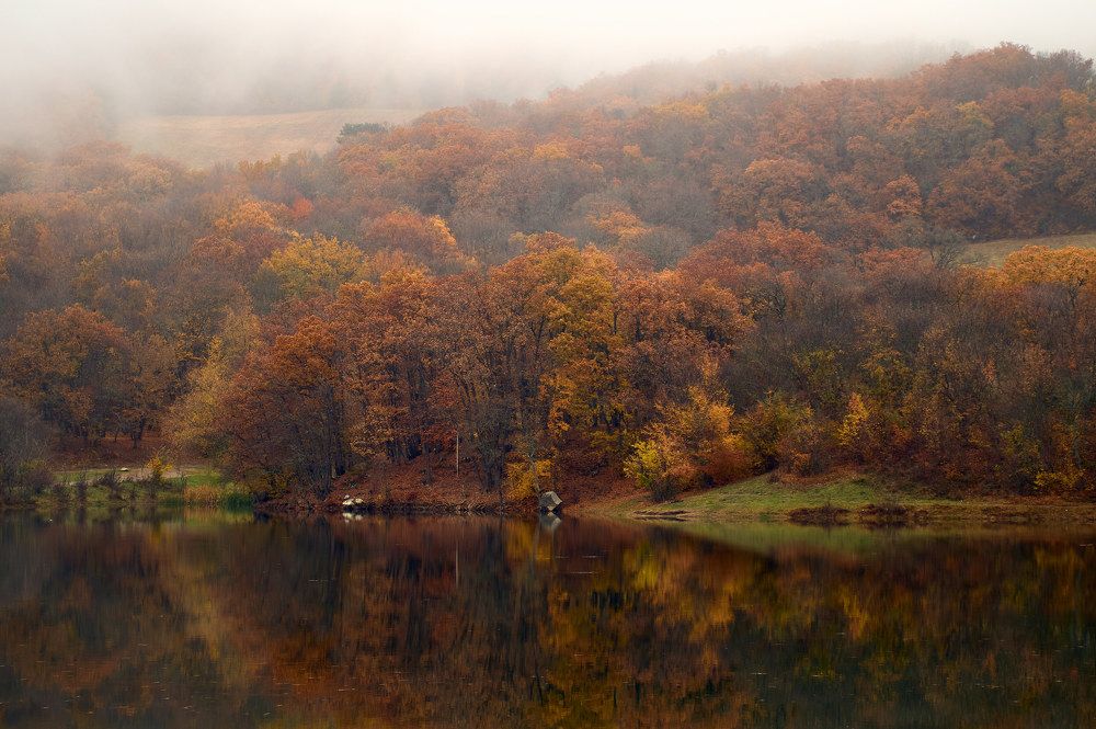 Photograph by Сергей Яблоков