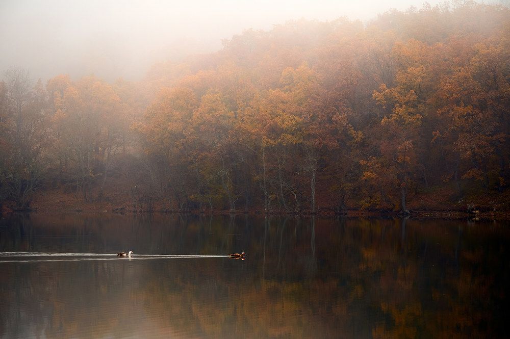Photograph by Сергей Яблоков