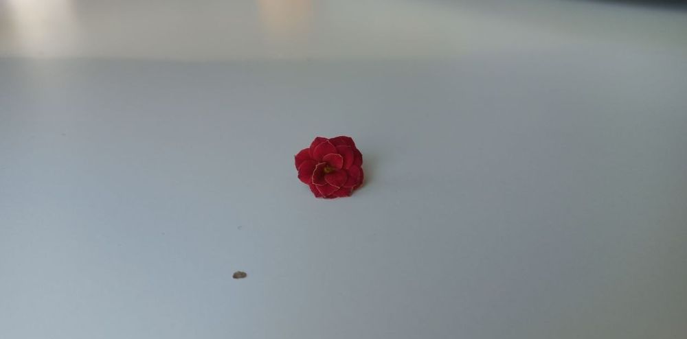 Photograph by Каковкина Ольга