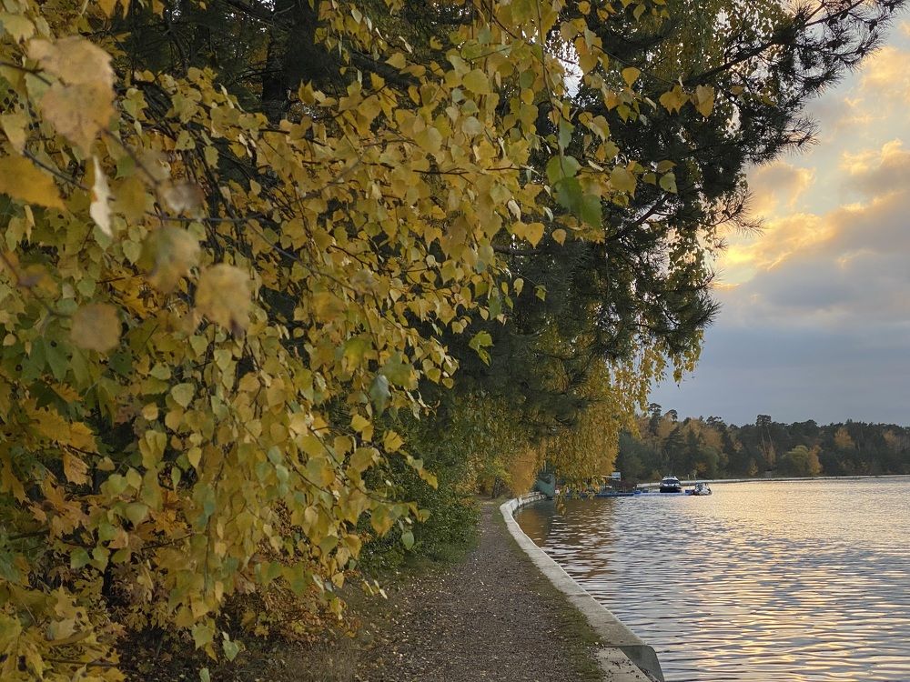 Фотография автора Ольга Горюнова
