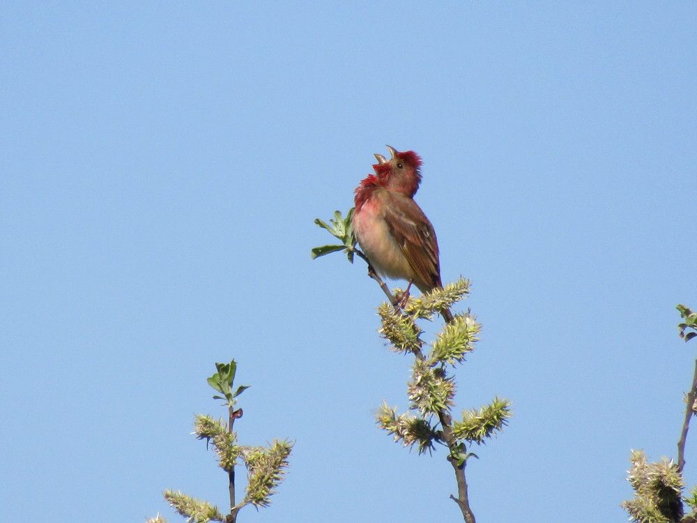 Photograph by Лариса Басова