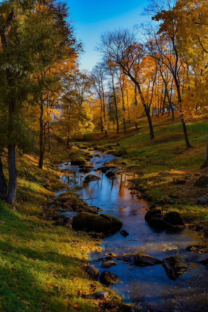 Photograph by Наталья Чернышова