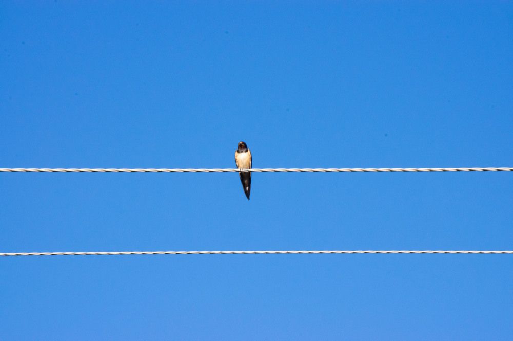 Photograph by Наталья Зверева