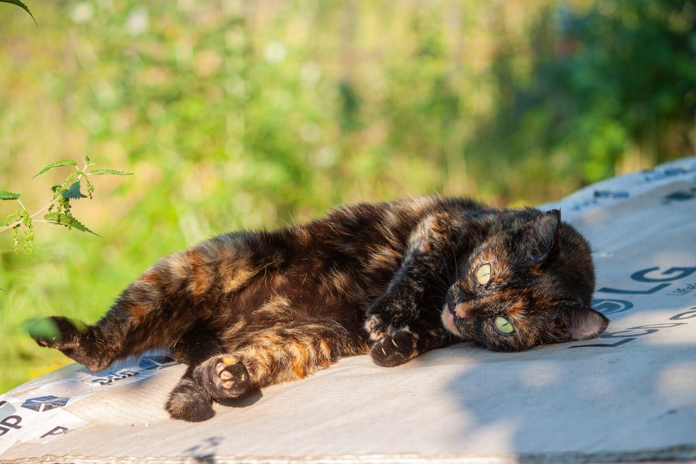 Photograph by Владислав Капанов