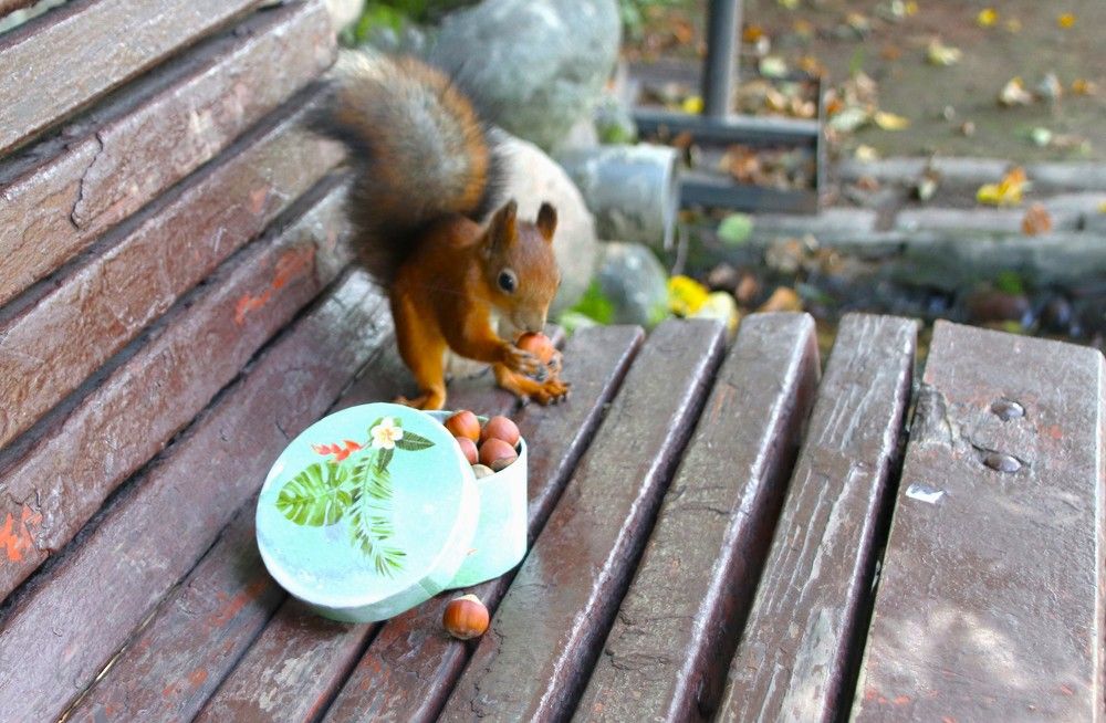 Photograph by Светлана Соколова