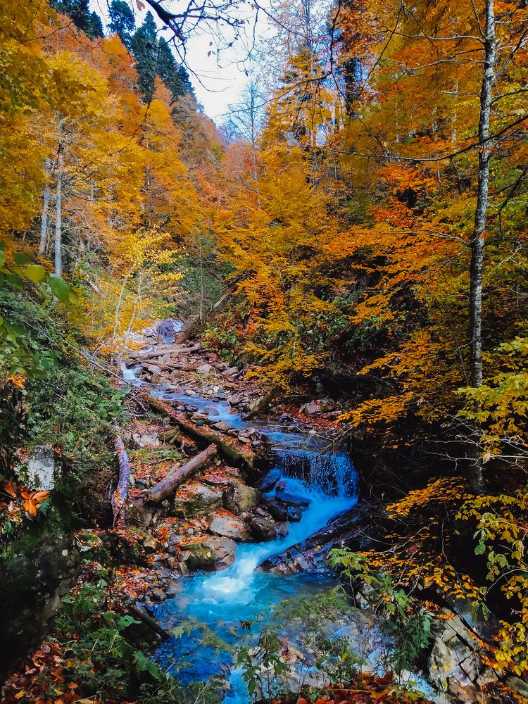 Photograph by Мария Грин (Сычёва)