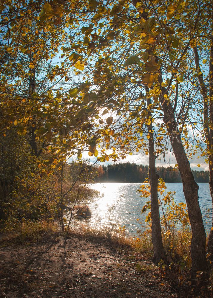 Photograph by Ольга Лобачёва