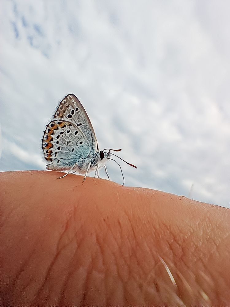 Photograph by Тамара Киреева