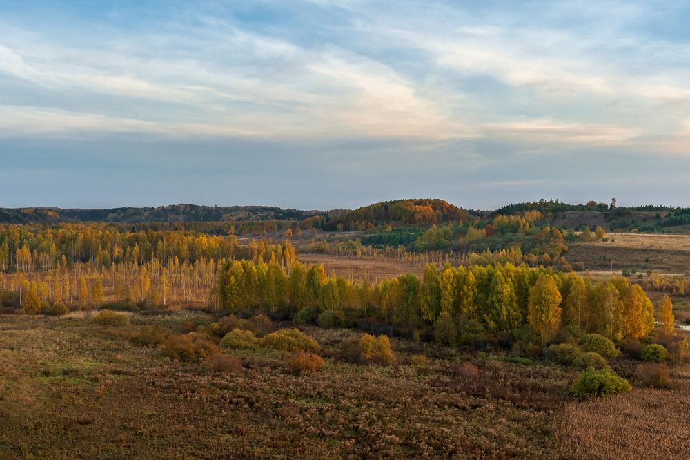 Осеннее утро
