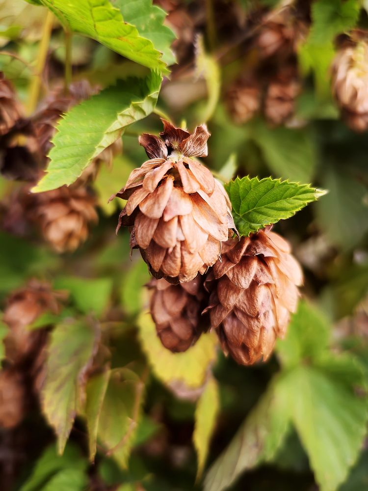 Photograph by Тамара Киреева