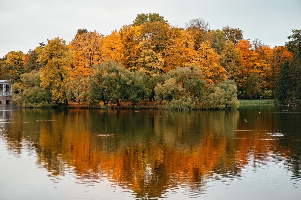 Фотография автора Воробьёва Анна