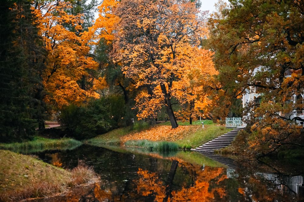 Фотография автора Воробьёва Анна