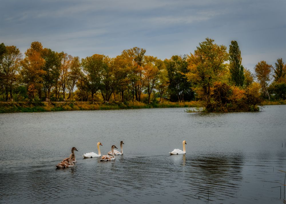 Photograph by Владимир Кваша
