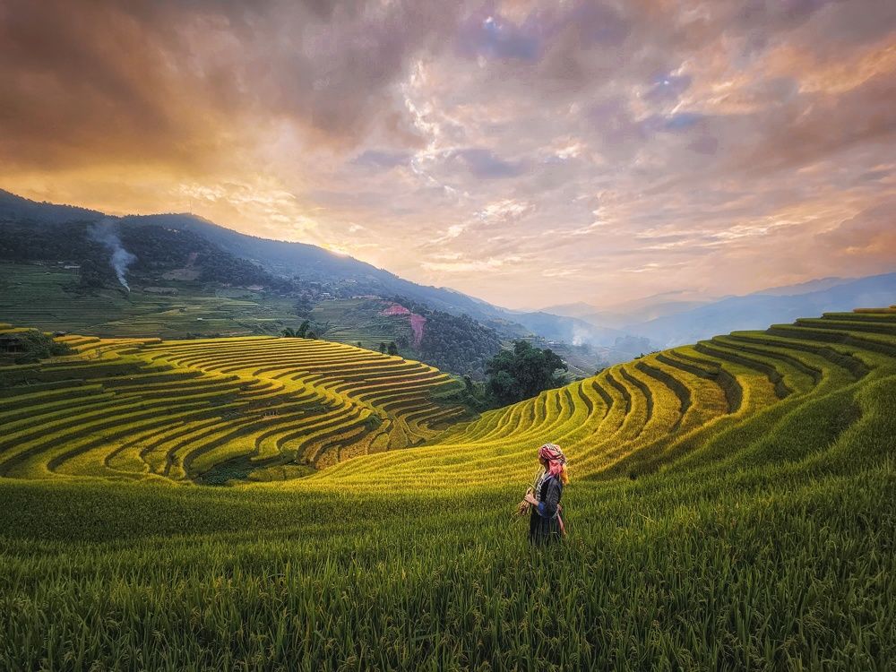 Sunset on terraced fields in Mu Cang Chai