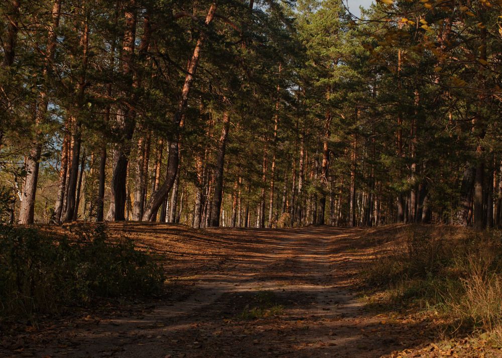 Photograph by Ольга Лобачёва