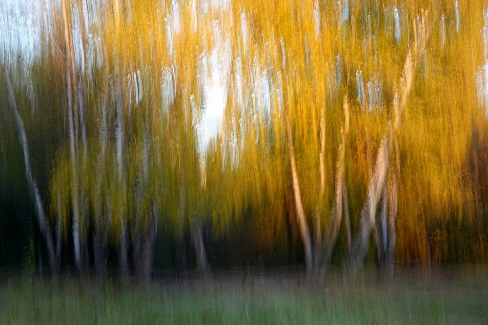 Золото осени!