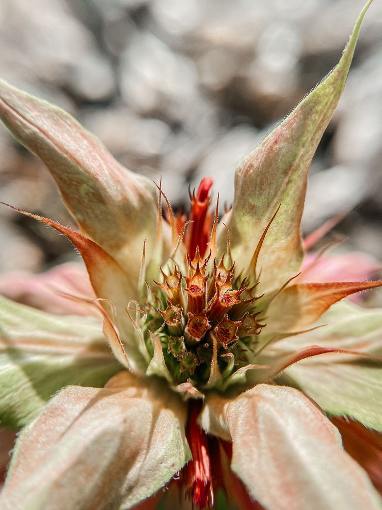 Photograph by Ольга Осинина