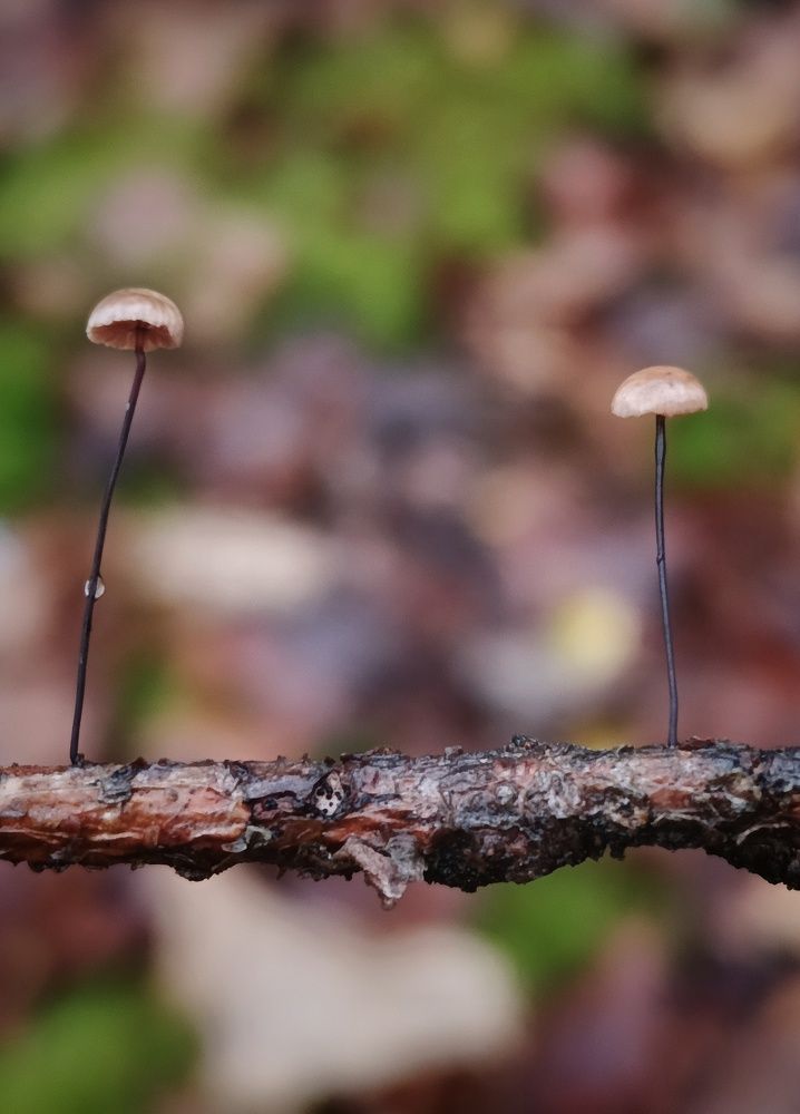 Photograph by Leanid Kulpo