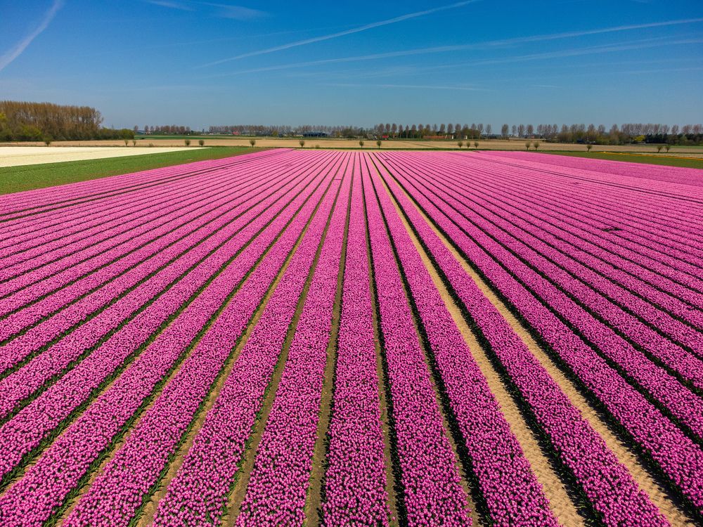 Photograph by Dmitry Zhukovskiy