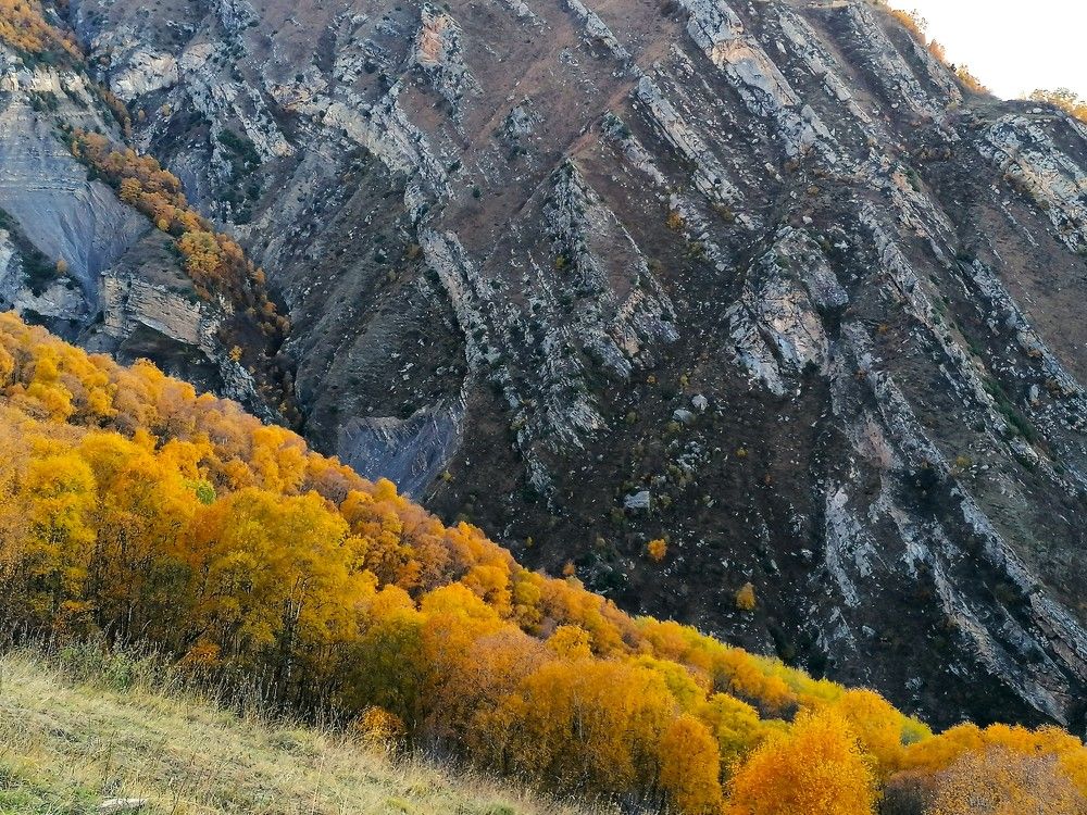 Photograph by Снежана Масалыкина