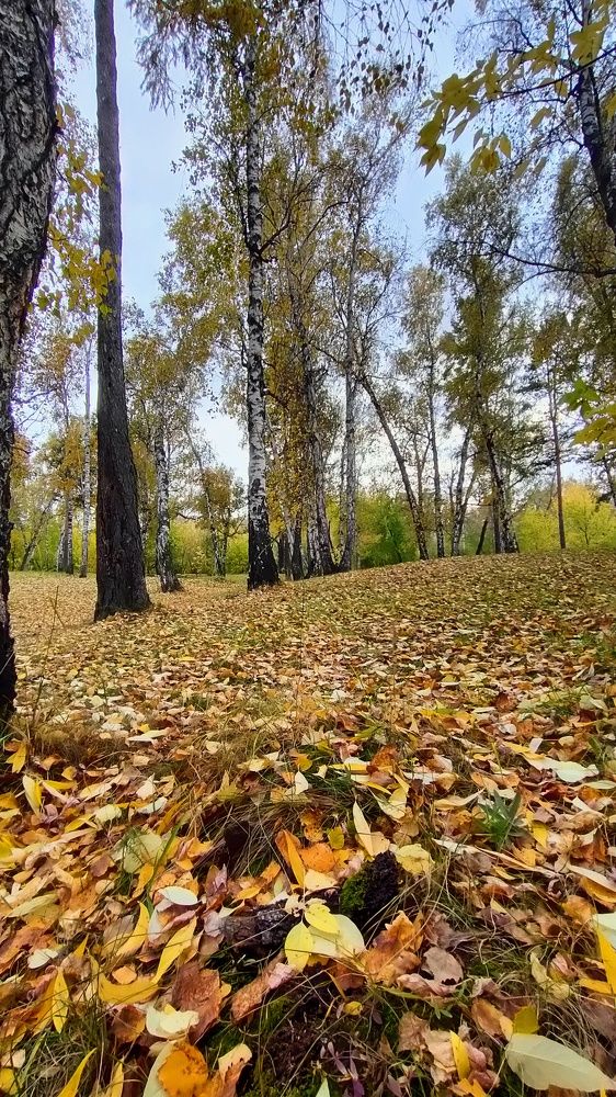 Осенний парк