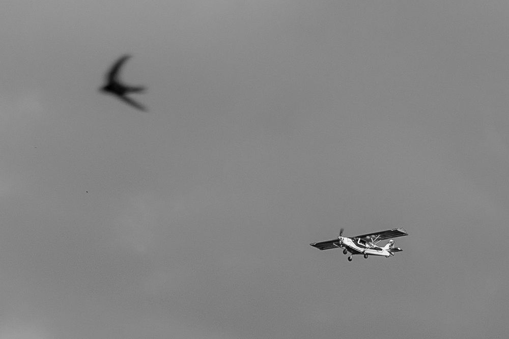 Photograph by Василий Лазарев