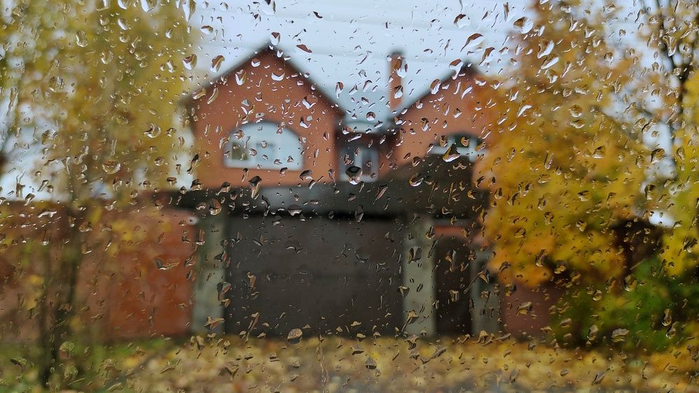 Осень за окном!