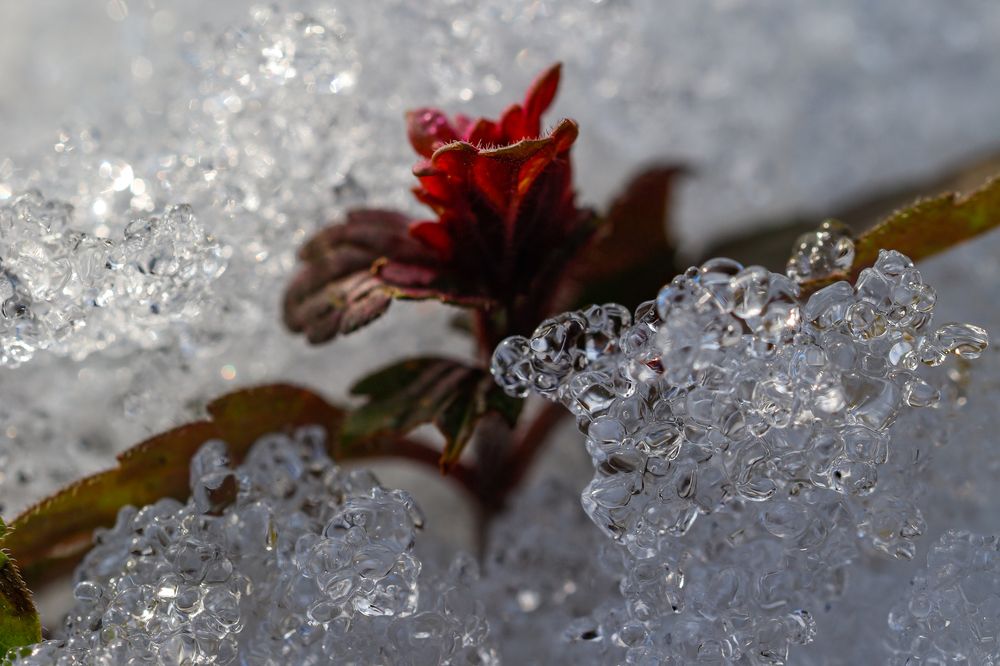 Photograph by Сергей Конюшенко