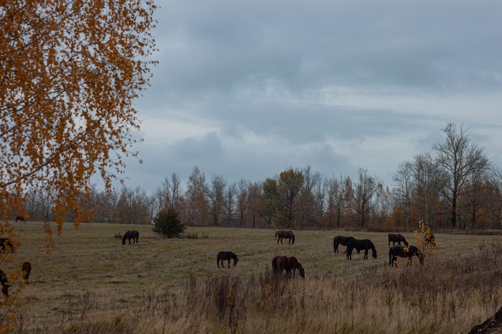 Photograph by Владислав Капанов
