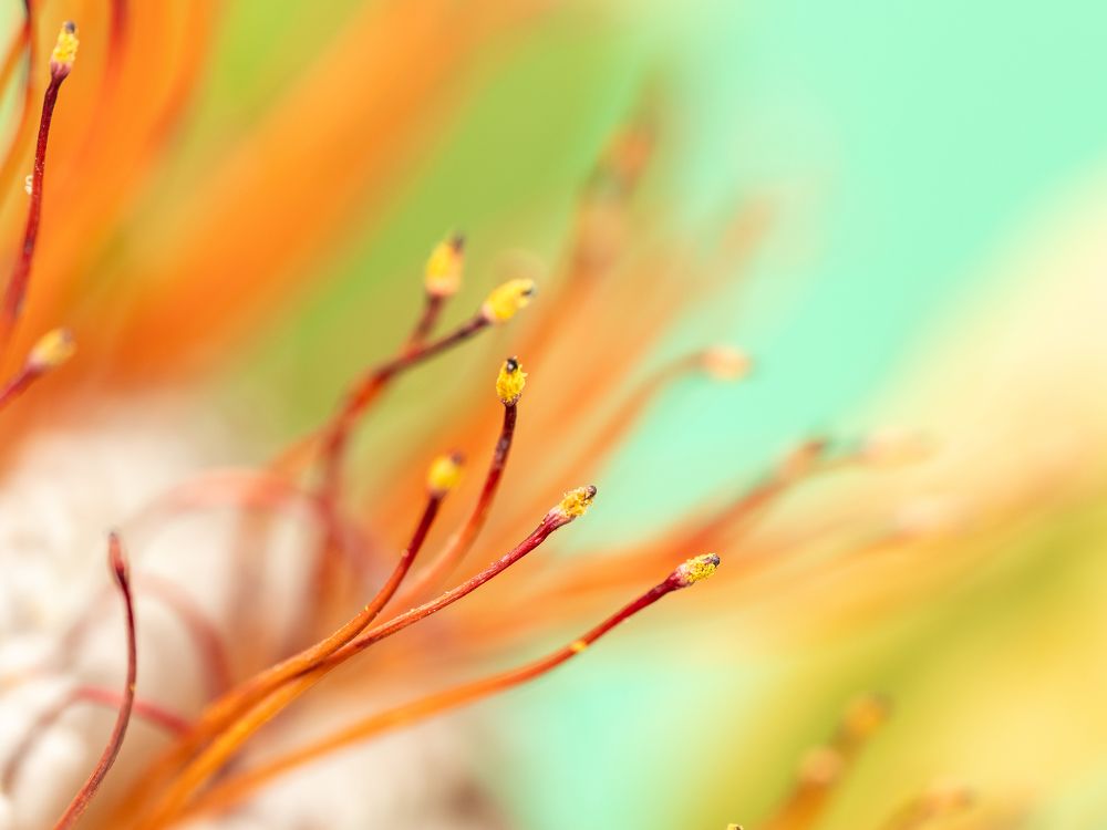 Photograph by Gevork Gukasyan