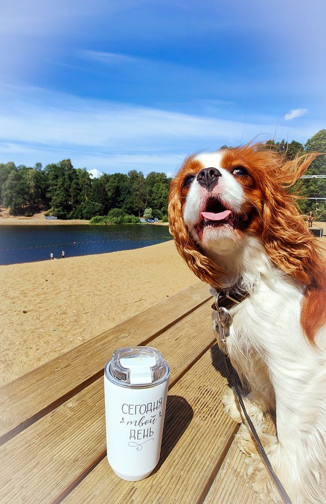 Photograph by Zina Lifanova