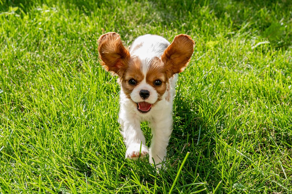 Photograph by Диана Бечина