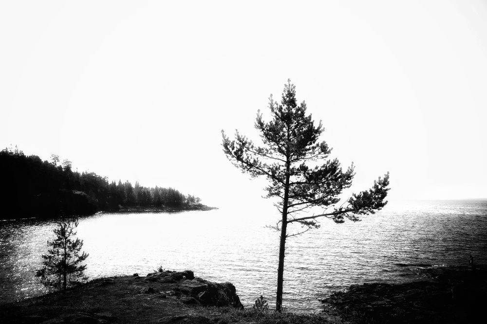 Photograph by Ирина Новицкая