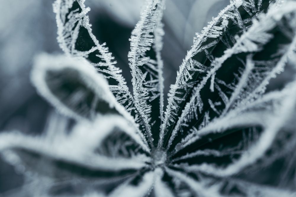 Photograph by Anna Ulyanova