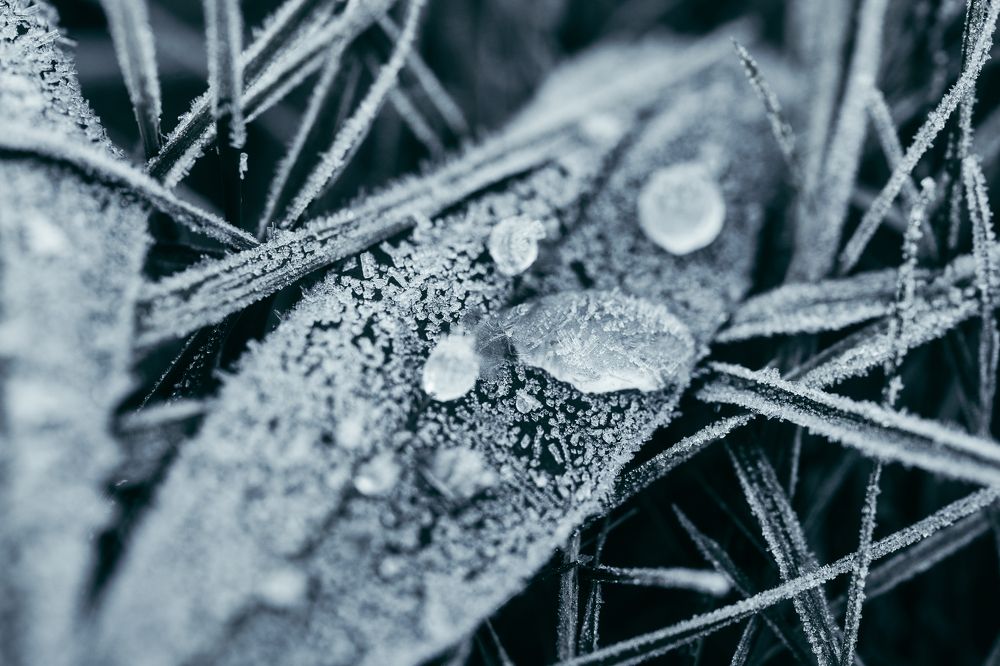 Photograph by Anna Ulyanova