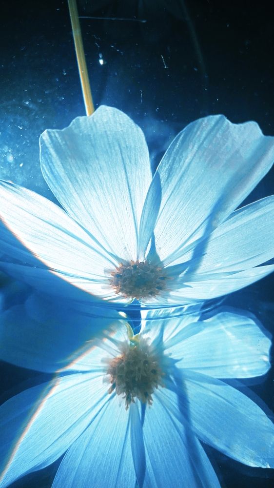 Photograph by Ольга Рыкова