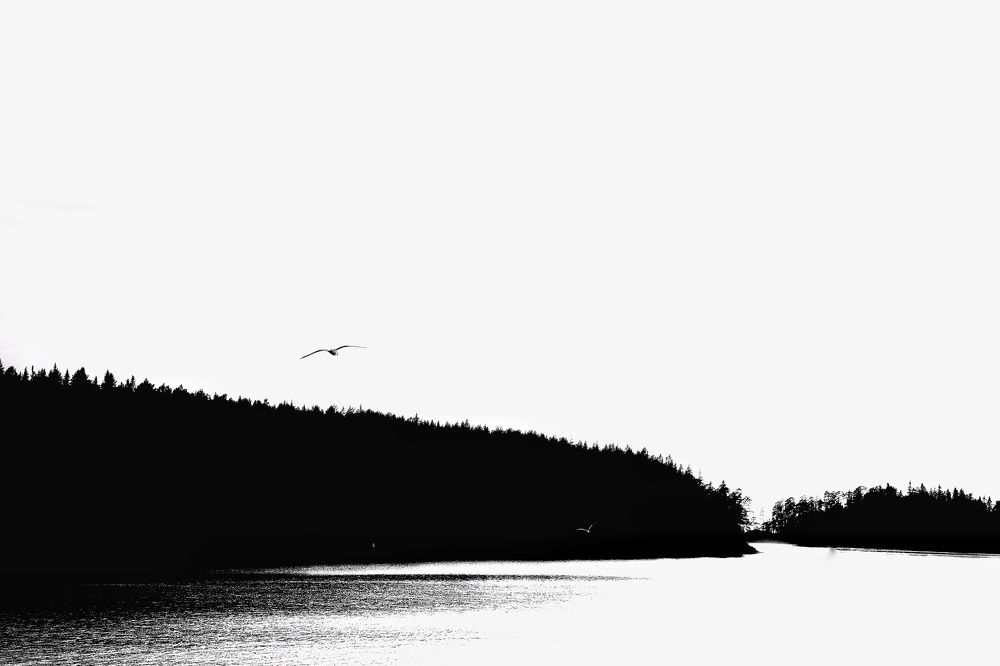 Photograph by Ирина Новицкая
