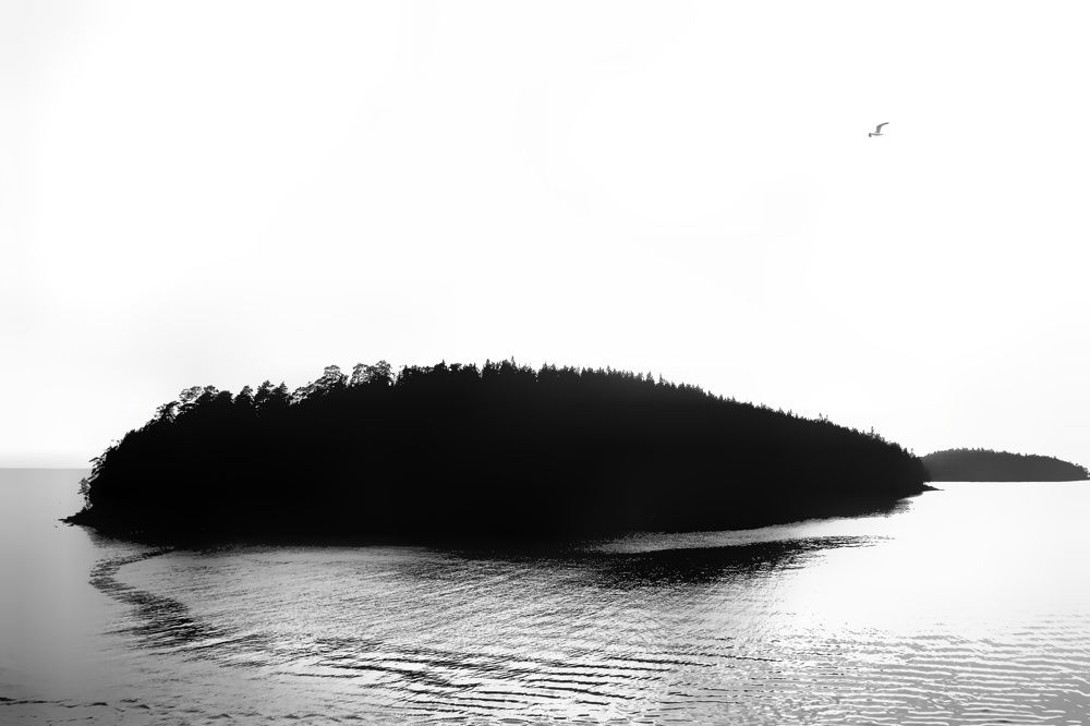 Photograph by Ирина Новицкая