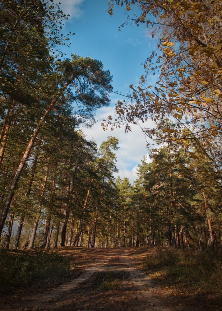 Photograph by Ольга Лобачёва