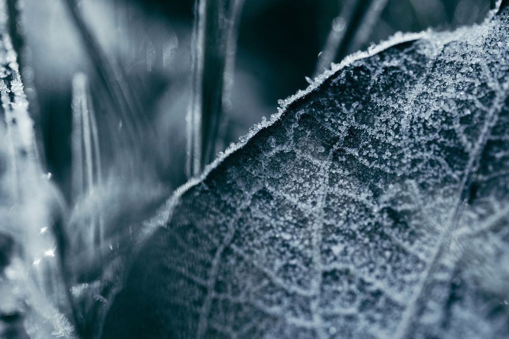 Photograph by Anna Ulyanova