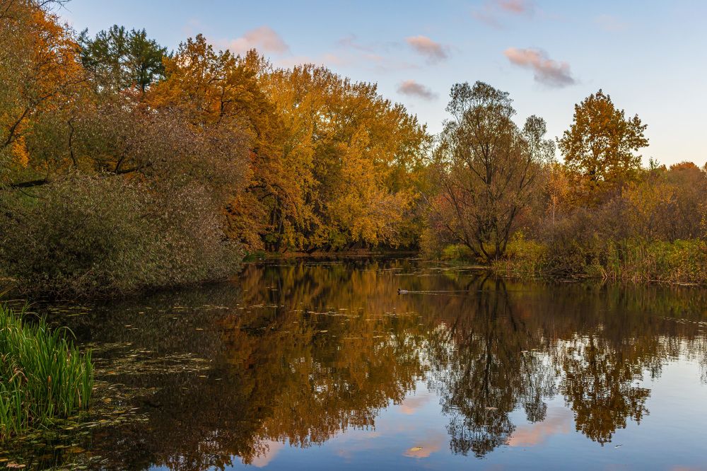 Photograph by Марина Короткова