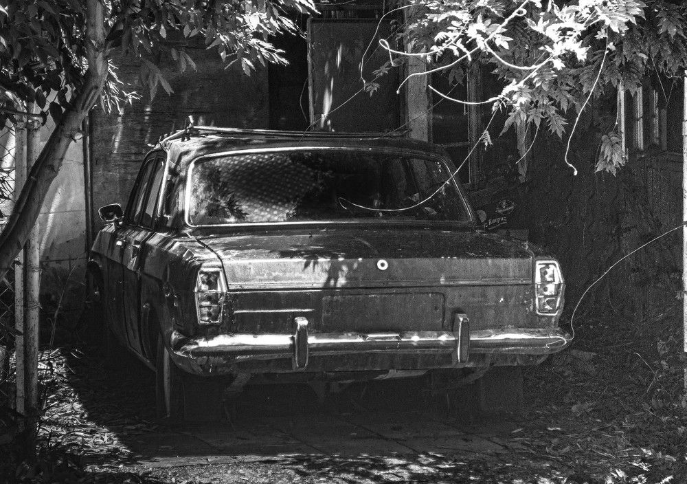 Photograph by Алекскандр Фатеев