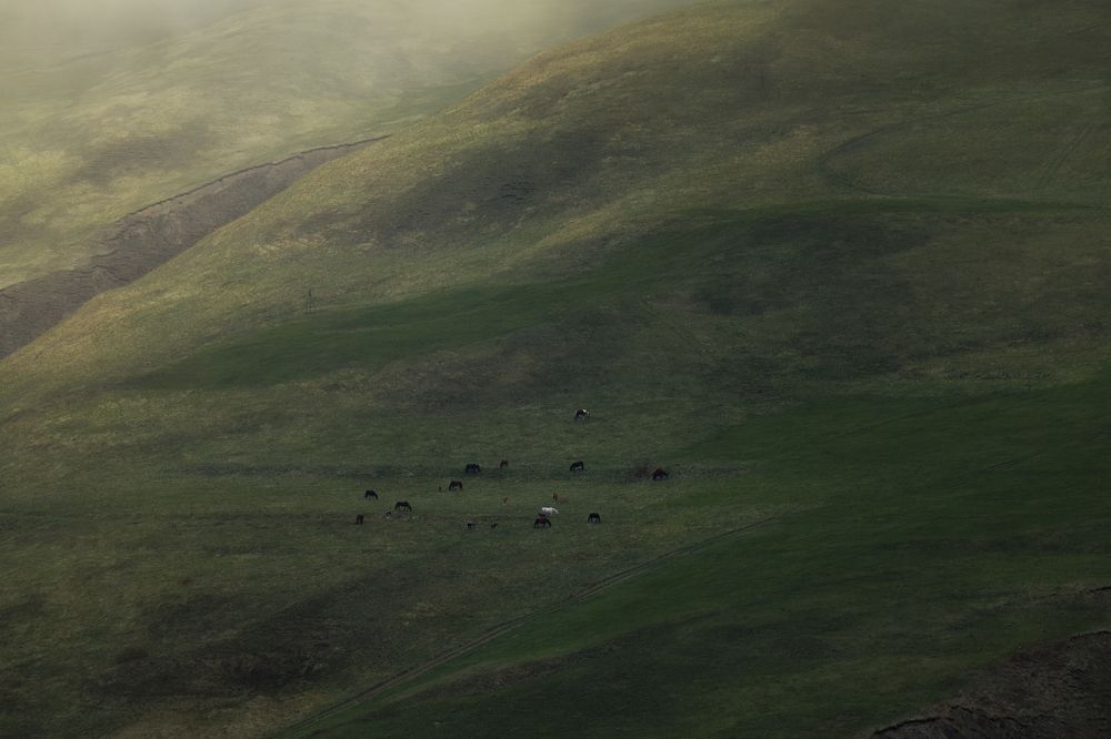 Photograph by Armen  Maitesian
