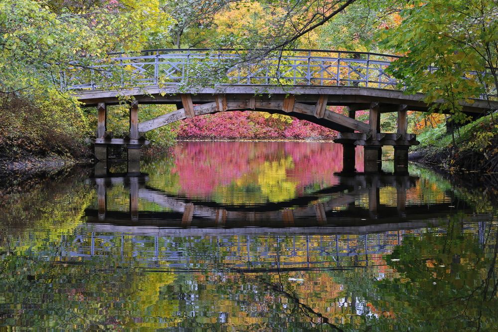 Photograph by Унку Юрий