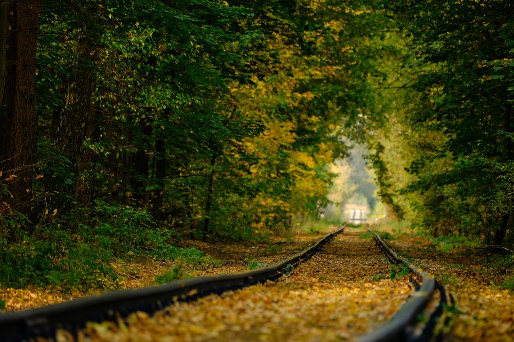 Photograph by Василий Арлашов