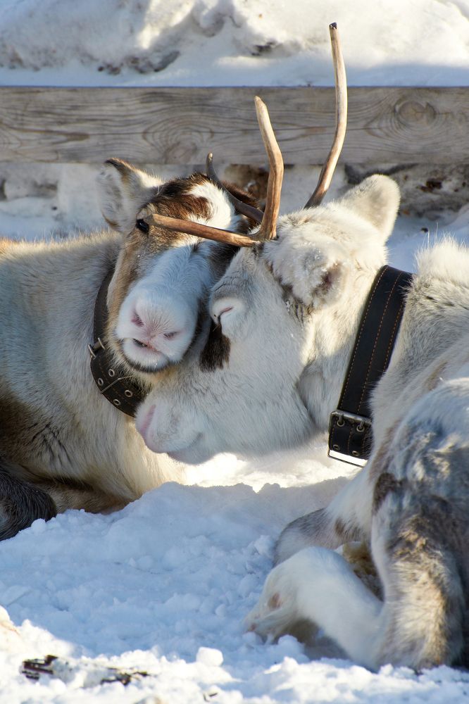 Photograph by Макуха Ольга