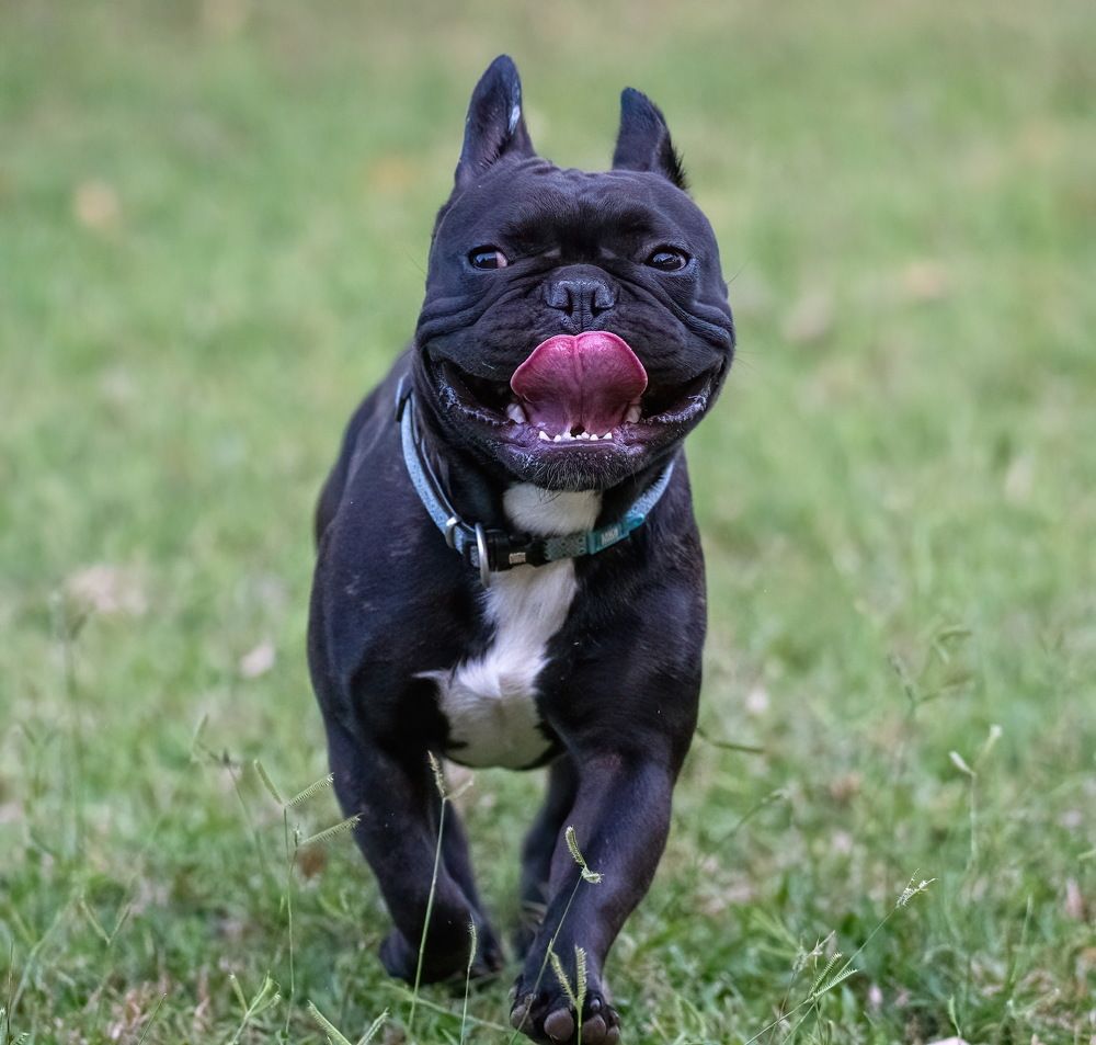 Фотография автора Mohammed sajd