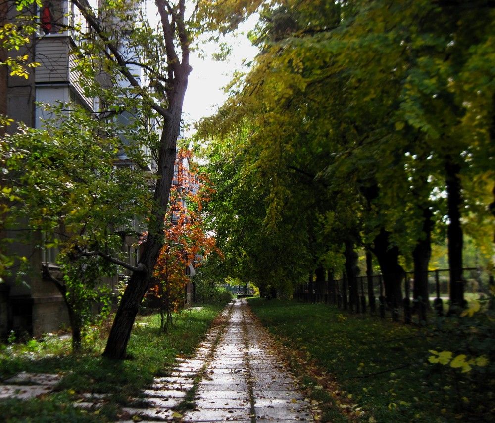 Photograph by Viktoriia Rusanova