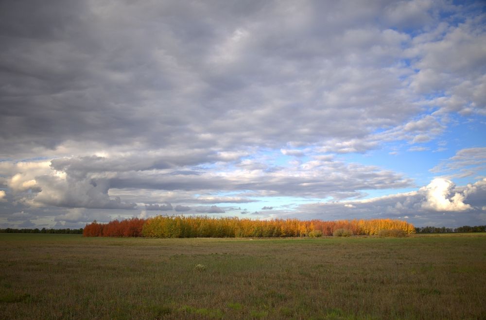 Photograph by ANDREY KISELYOV